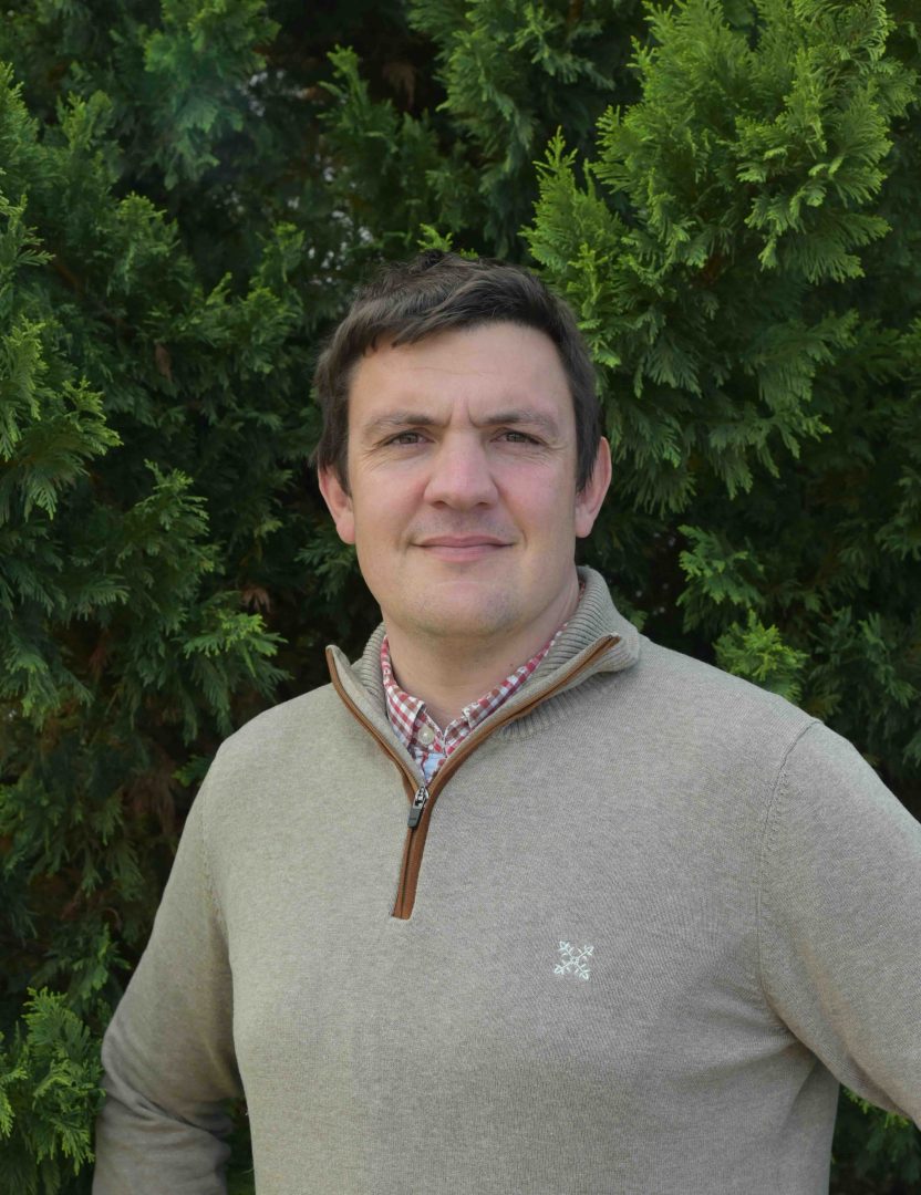 Mathieu Teixeira